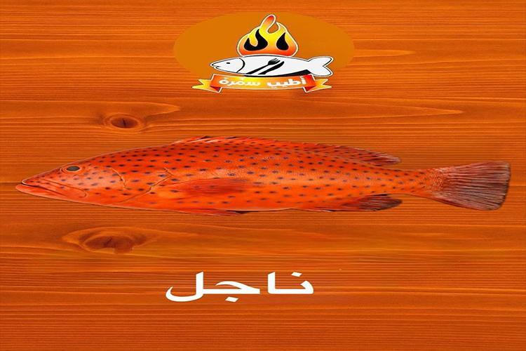 اطيب سفره للمأكولات البحريه - الأسماك